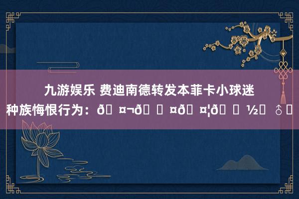 九游娱乐 费迪南德转发本菲卡小球迷种族悔恨行为：🤬😤🤦🏽‍♂️