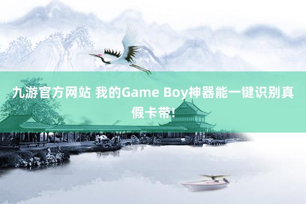 九游官方网站 我的Game Boy神器能一键识别真假卡带!