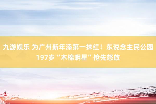 九游娱乐 为广州新年添第一抹红！东说念主民公园197岁“木棉明星”抢先怒放