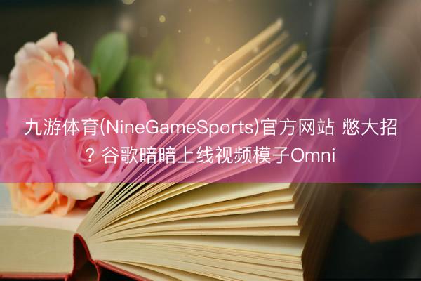 九游体育(NineGameSports)官方网站 憋大招? 谷歌暗暗上线视频模子Omni