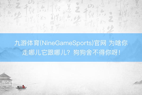 九游体育(NineGameSports)官网 为啥你走哪儿它跟哪儿？狗狗舍不得你呀！