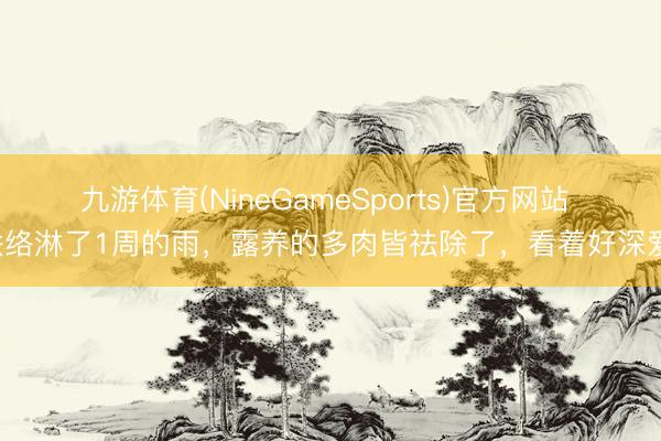 九游体育(NineGameSports)官方网站 联络淋了1周的雨，露养的多肉皆祛除了，看着好深爱！