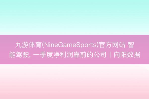 九游体育(NineGameSports)官方网站 智能驾驶， 一季度净利润靠前的公司丨向阳数据